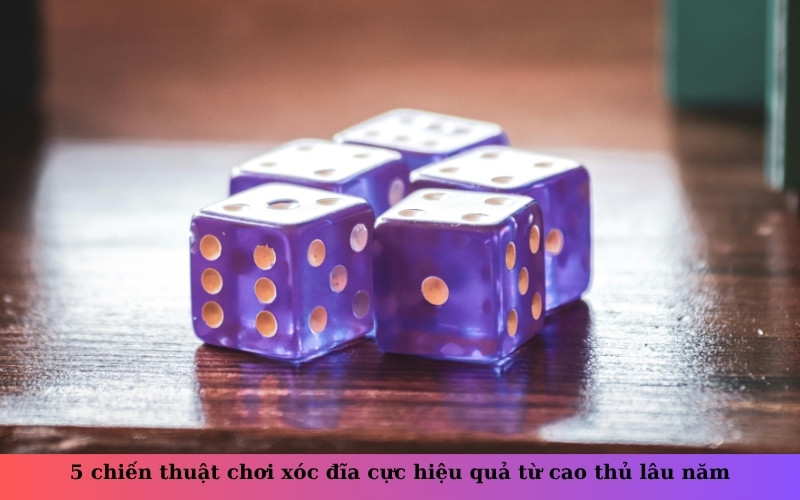 5 chiến thuật chơi xóc đĩa cực hiệu quả từ cao thủ lâu năm