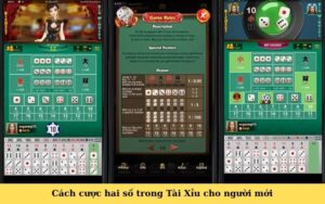 Cách cược hai số trong Tài Xỉu cho người mới