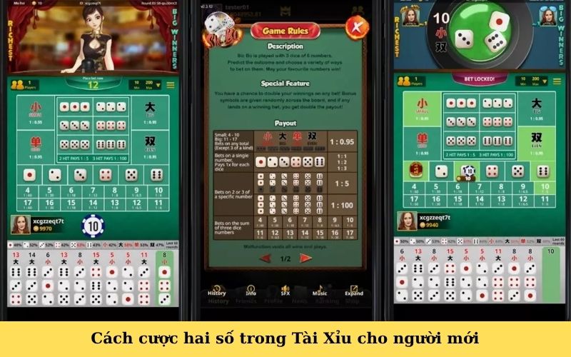 Cách cược hai số trong Tài Xỉu cho người mới