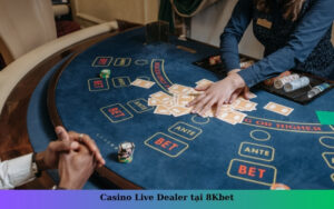 Casino Live Dealer tại 8Kbet